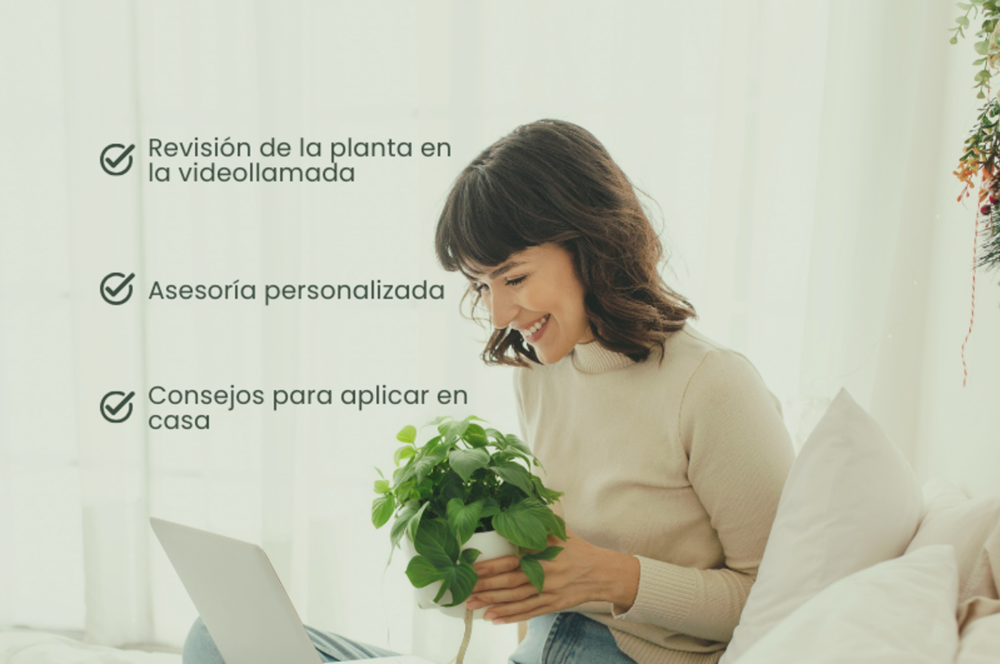 Clínica de Plantas
