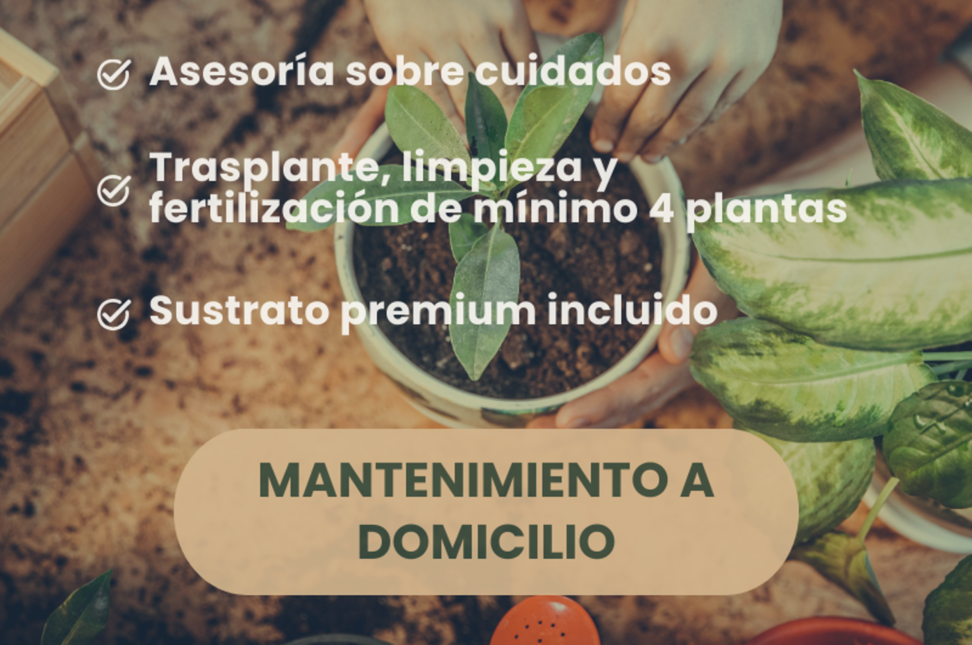 Mantenimiento a Domicilio